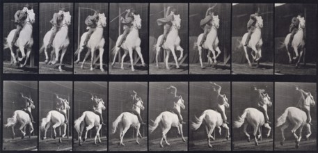 Gallop, 1872-1885. Creator: Eadweard J Muybridge.