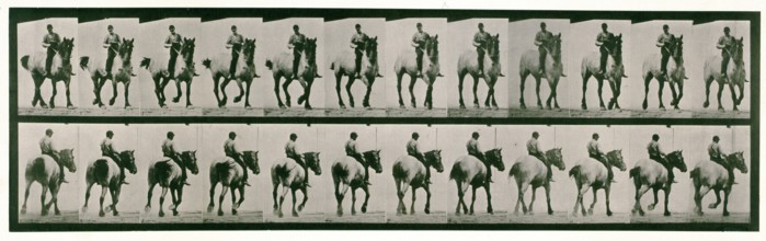 Trotting, bareback, 1872-1885.  Creator: Eadweard J Muybridge.