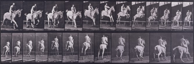 Jumping a hurdle, 1872-1885.  Creator: Eadweard J Muybridge.