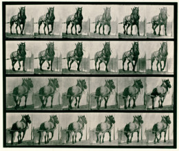 Hauling, 1872-1885.  Creator: Eadweard J Muybridge.