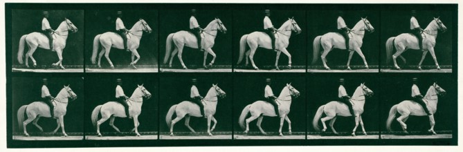 Walking, 1872-1885.  Creator: Eadweard J Muybridge.