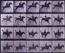 Jumping a hurdle,  1872-1885. Creator: Eadweard J Muybridge.