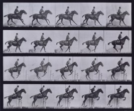Jumping a hurdle, 1872-1885.  Creator: Eadweard J Muybridge.