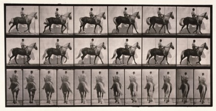 Walking, 1872-1885.  Creator: Eadweard J Muybridge.