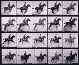 Jumping a hurdle, 1872-1885.  Creator: Eadweard J Muybridge.