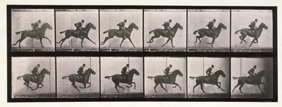 Gallop, 1872-1885.  Creator: Eadweard J Muybridge.