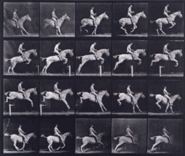 Jumping a hurdle, 1872-1885.   Creator: Eadweard J Muybridge.