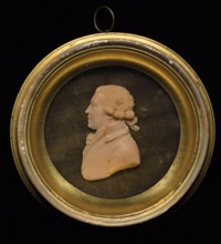 Wax medallion portrait of Sir Joshua Reynolds PRA. Creator: Unknown.