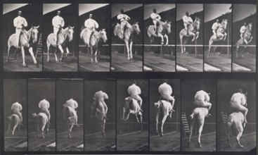 Jumping a hurdle, 1872-1885.   Creator: Eadweard J Muybridge.