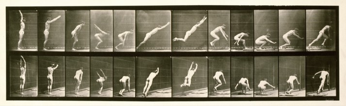 Jumping, 1872-1885.  Creator: Eadweard J Muybridge.