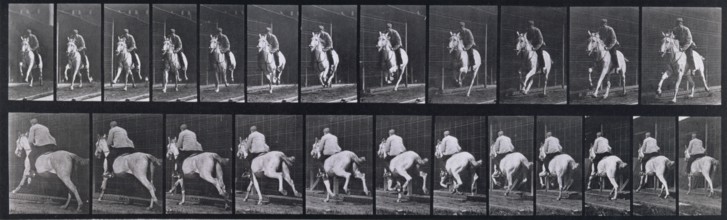 Gallop, 1872-1885.   Creator: Eadweard J Muybridge.