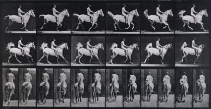 Canter, 1872-1885.  Creator: Eadweard J Muybridge.