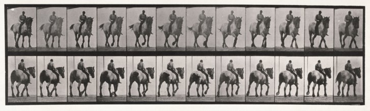 Walking , 1872-1885.  Creator: Eadweard J Muybridge.
