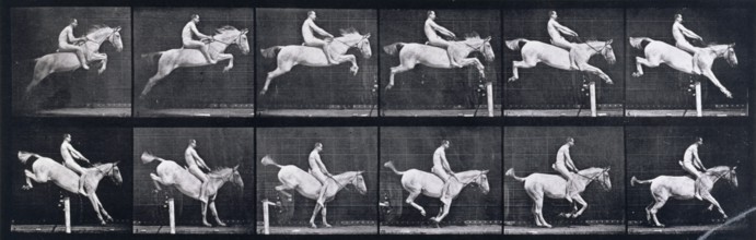 Jumping a hurdle , 1872-1885.   Creator: Eadweard J Muybridge.