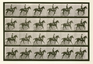 Canter, 1872-1885.  Creator: Eadweard J Muybridge.