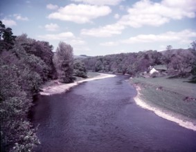 River Tweed near Melrose, The Borders, Scotland, c1955.  Creator: Arthur Charles Kirby Ware.