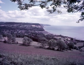 Sidmouth, Devon, c1955.  Creator: Arthur Charles Kirby Ware.