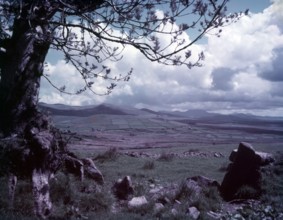 A view near Llanaelhaearn, Wales, c1955. Creator: Arthur Charles Kirby Ware.