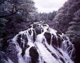 Swallow Falls, Betws-y-Coed, Caernarvon, Wales, c1955.  Creator: Arthur Charles Kirby Ware.