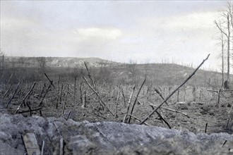 Plateau de Craonne, 1917