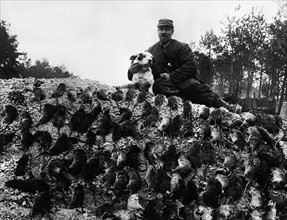 TRANCHEE ENVAHIE PAR DES RATS - Entre 1914 et 1918, sur le front du Nord et de l'Est de la France,