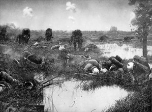 Les marais de Saint-Gond en 1914