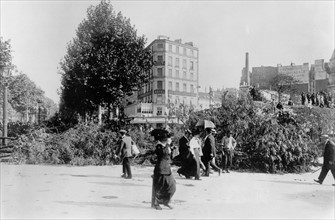 On abat les arbres porte maillot et on en fait un niveau , les principales branches seront taillées