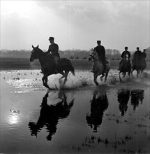 L'armée Française. L'école Polytechnique en 1939. Les élèves cavaliers sur leurs chevaux.