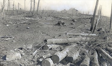 La première guerre mondiale. La route conduisant au fort de Vaux, au fond, le profil du fort -