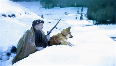 Chien esquimau en sentinelle dans les neiges vosgiennes, 1916.Un chien esquimau en sentinelle dans