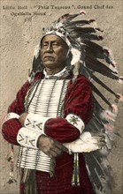 L'Indien Little Bull ("Petit taureau"), grand chef des Ogallalla Sioux