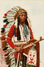 Postcard representing Indian chief "Tall crane"