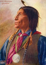 Carte postale représentant le chef Indien Cheyenne Wolf Robe