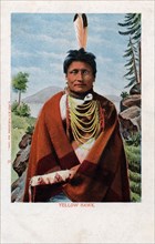 Postcard representing Indian "Yellow Hawk"