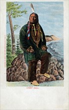 Carte postale représentant le chef indien "Gall"
