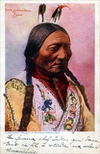 Carte postale représentant le chef indien  Sioux "Sitting Bull"