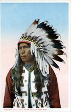 Postcard representing Indian chief " Hollow Horn Bear"