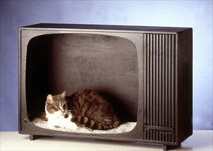 TV sets by Jean-Paul Balou