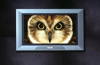 The Flat TV by Philips