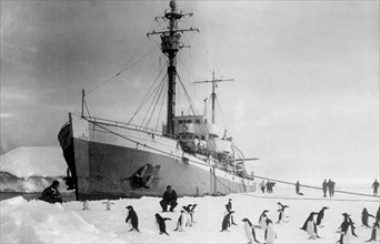 Navire des expéditions polaires