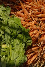 2008, marché fruits et légumes, carottes, Tunisie