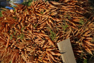 2008, marché fruits et légumes, carottes, Tunisie