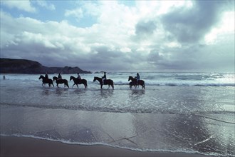 plage, chevaux, soir, cavaliers, nature , paysage, mer,
belle ile en mer