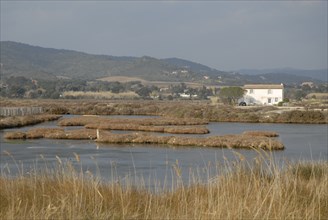 2009, Hyères, 83400, marais salant d'Hyères, paysage, maison