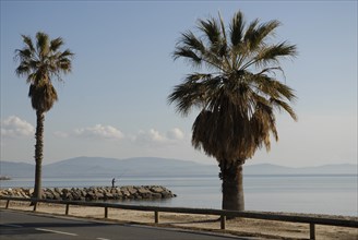 2009, Hyères, 83400, bord de mer, mer, pecheur, palmiers, route
