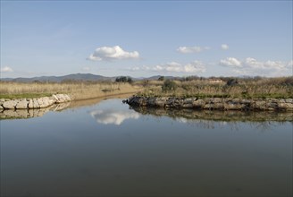 2009, Hyères, 83400, paysage, reflets  dans l'eau, canal