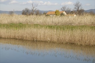 2009, Hyères, 83400, paysage, reflets  dans l'eau, vegetaux, canal
