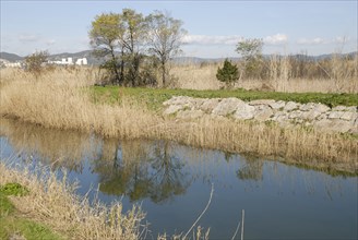 2009, Hyères, 83400, paysage, reflets  dans l'eau, vegetaux, canal