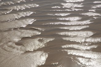 2009/ Belle-ile en Mer, plage, mer, reflets eau, sable