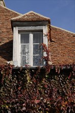 automne, Bourgogne, feuilles, Mur, octobre 2009, toit, Vezelay, vigne vierge